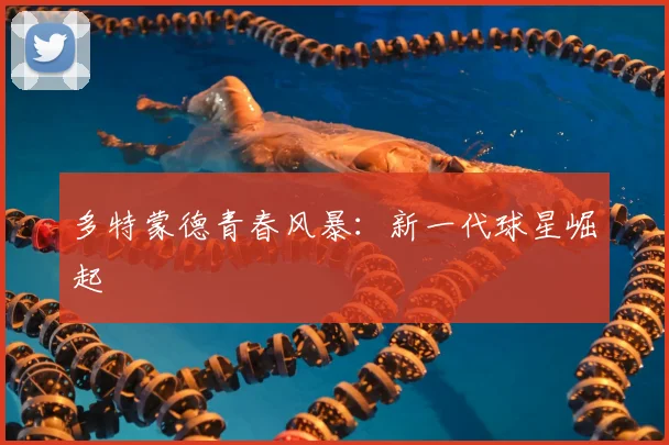 多特蒙德青春风暴：新一代球星崛起
